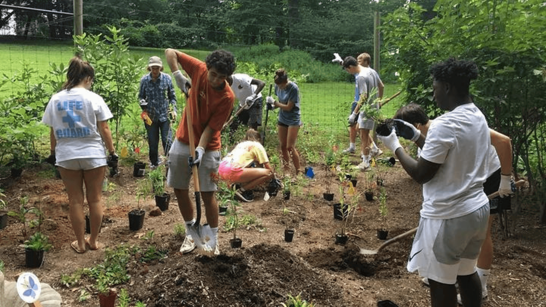 Earth Day Optimism