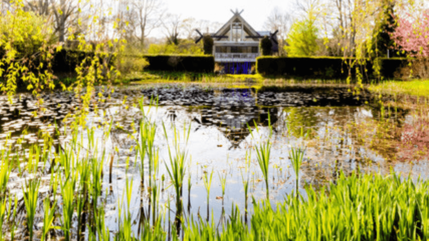 LongHouse Reserve pond photo by Philippe Cheng