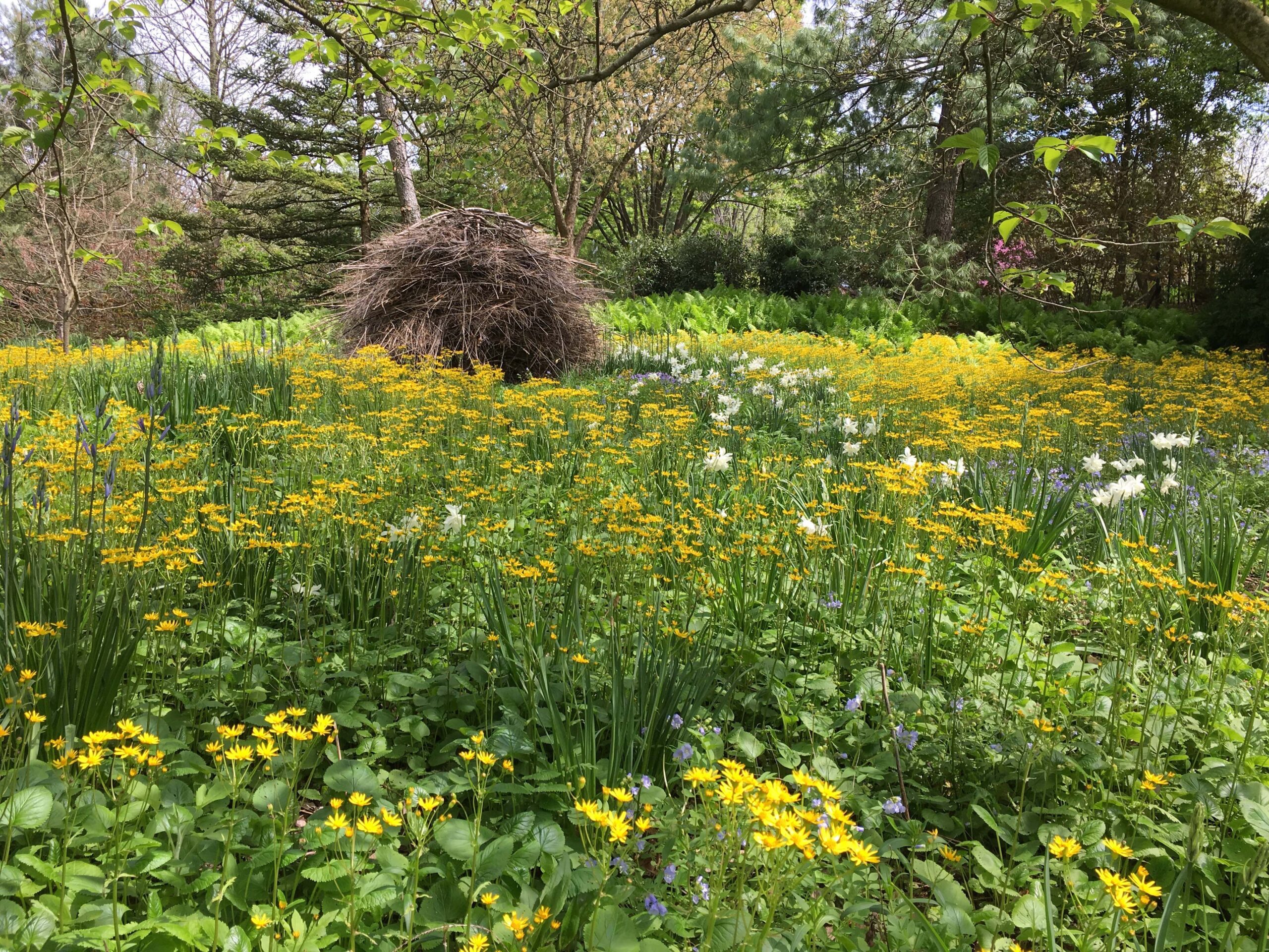 Chanticleer garden in Pennsylvania habitat stack by Chris Fehlhaber