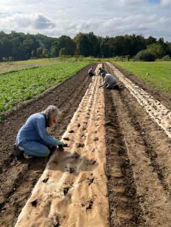 Volunteers plant native seedlings in OMRI-listed paper mulch