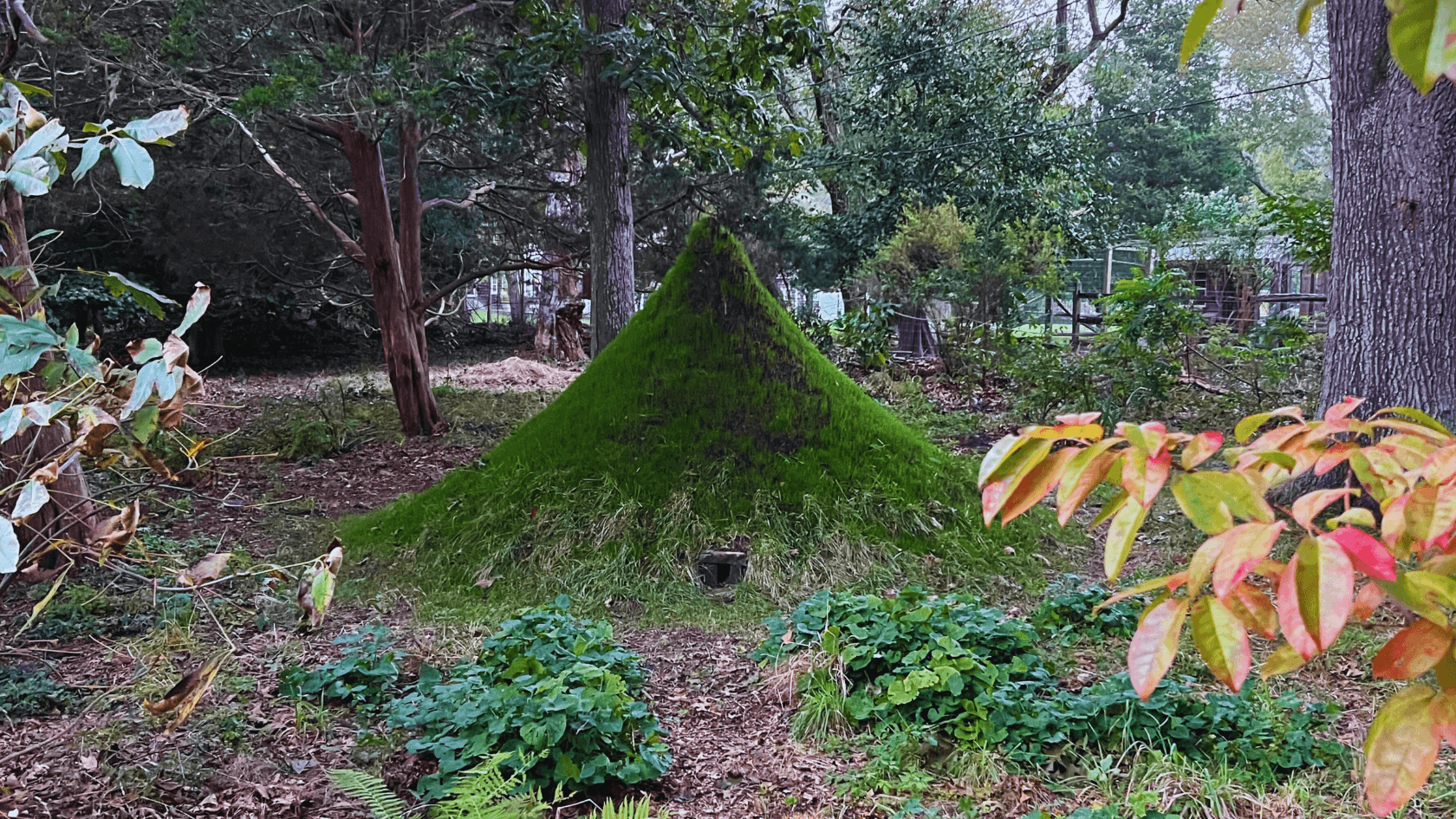 PRFCT Moment: Hibernaculum
