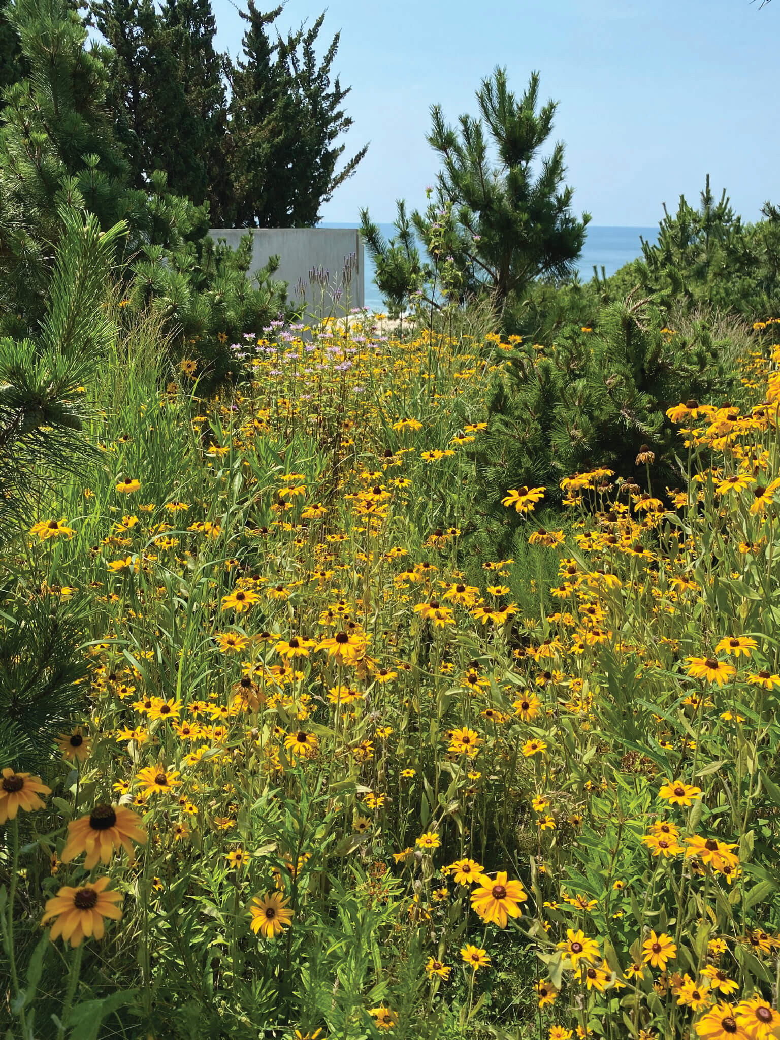 ‘Stop Putting Your Garden into Shapewear’: 12 Tips for Nature-Based Gardening