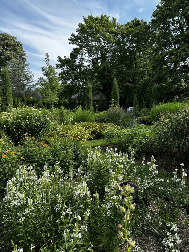 Brian Sawyer garden with white flowers in the foreground