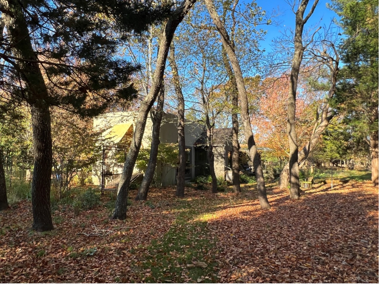 Fall path leave the leaves
