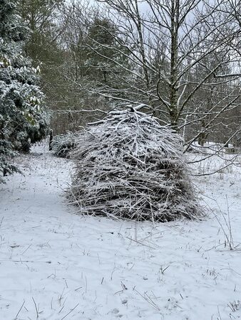 A habitat pile covered in snow
