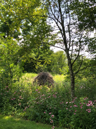 A habitat pile at Chanticleer Garden in PA