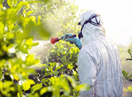 person in hazmat outfit spraying plants