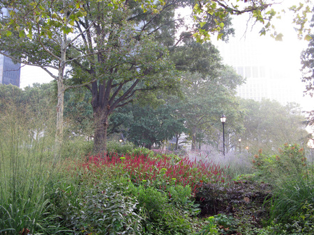 The Bosque at The Battery
