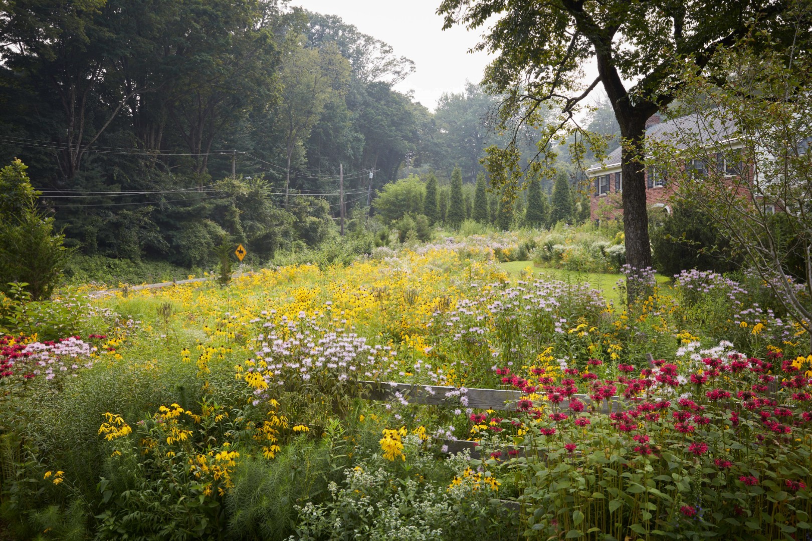 What does your landscape say about you?
