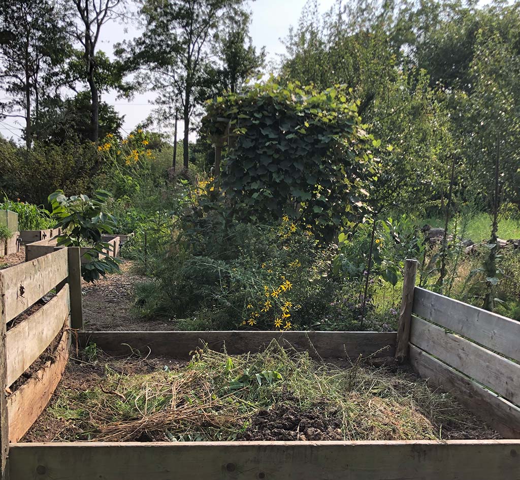 Compost Pile