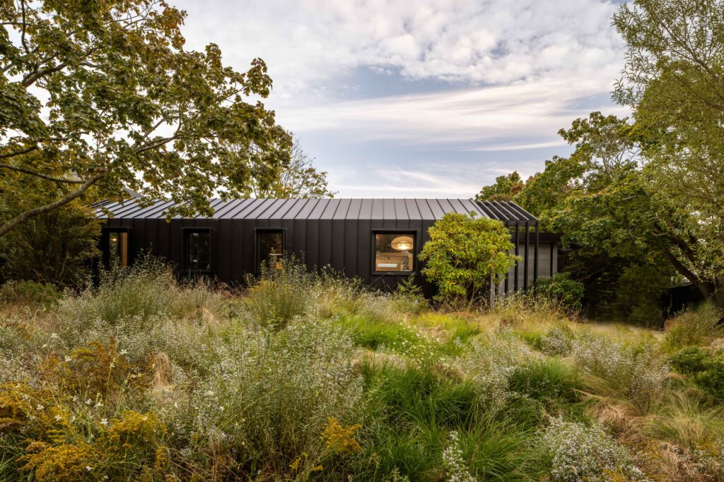 Nature-based garden designed by deMauro + deMauro for Martin Architects.