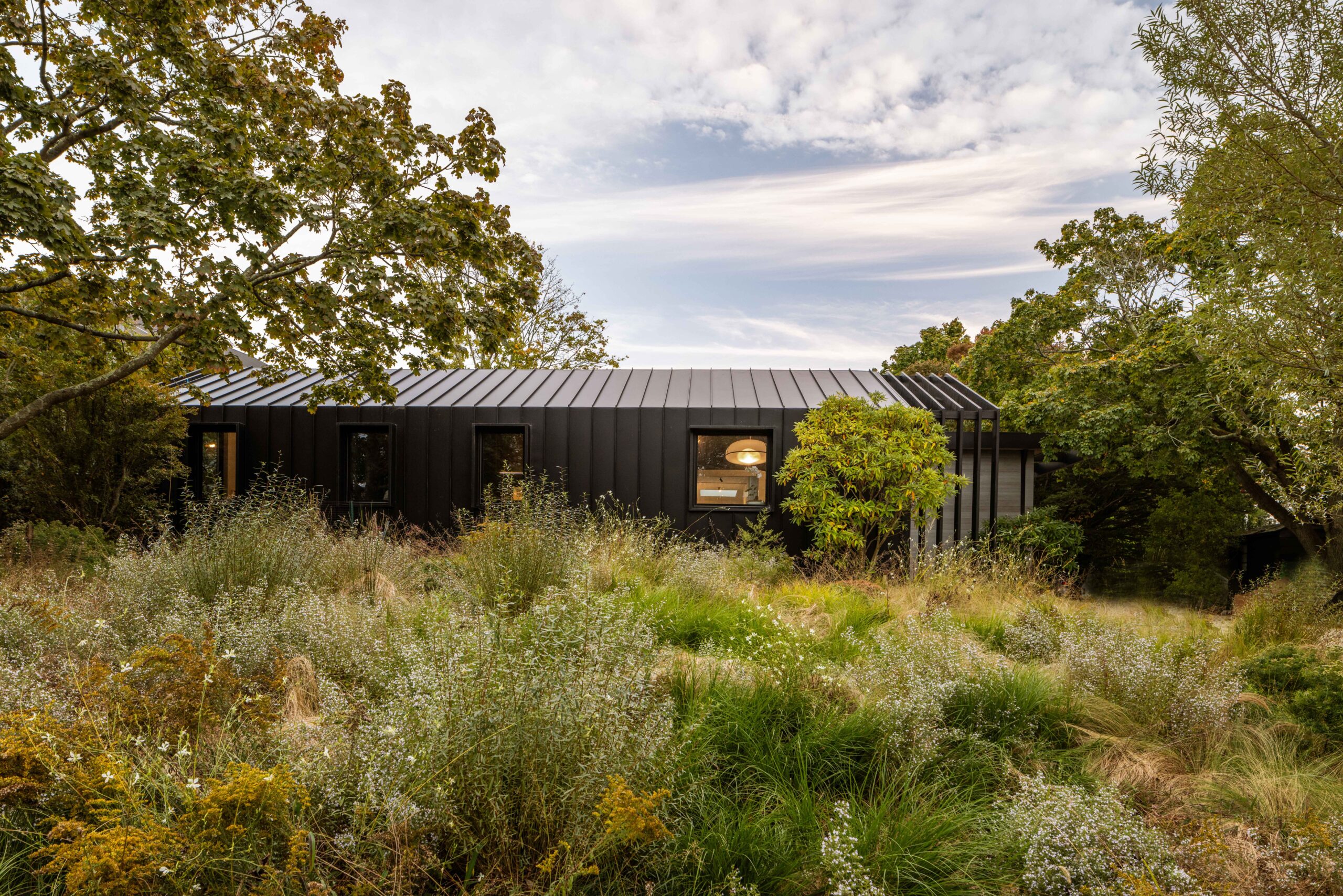 Martin Architects nature-based meadow garden by deMauro + deMauro.