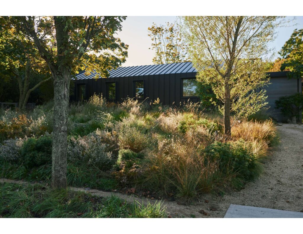 The front yard meadow at Martin Architects designed by deMauro+deMauro
