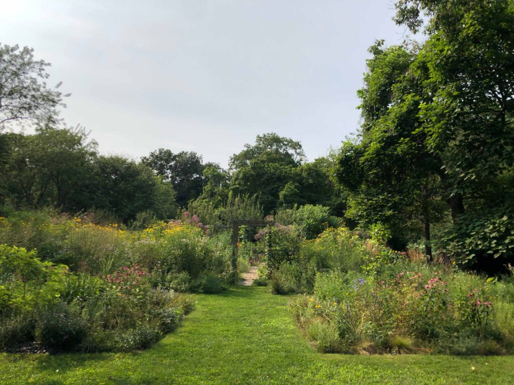 Edwina von Gal's gardening beds planted with native varieties.