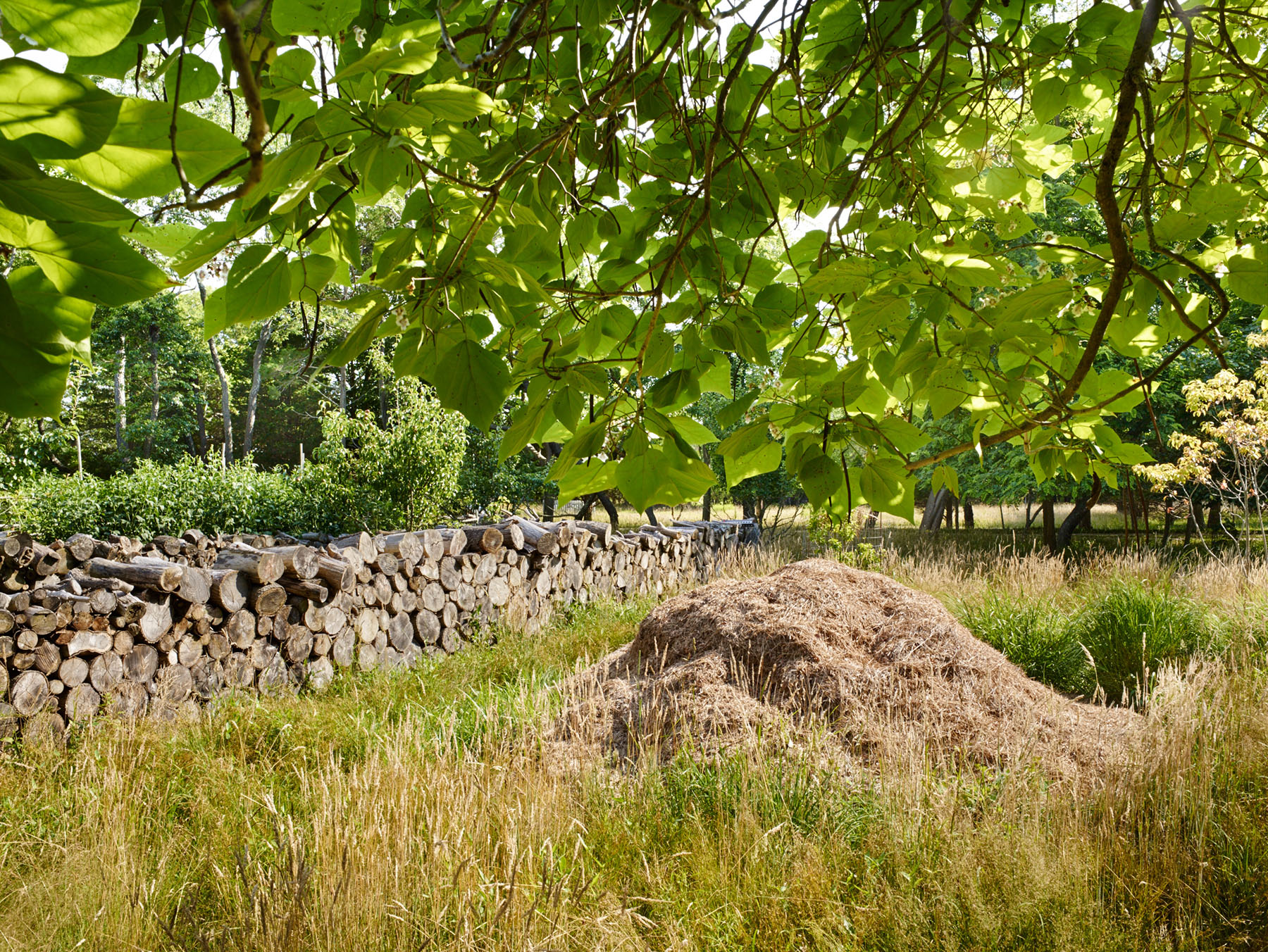 Habitat and log piles at Marshouse