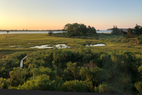 Toxic-free, nature-based garden by the sea