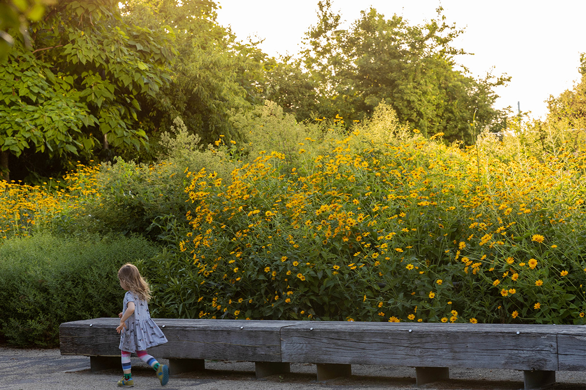 Ask the Expert: Brooklyn Bridge Park’s Rashid Poulson