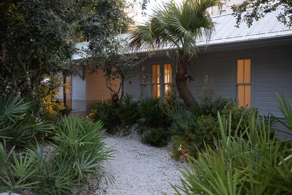 Native planting at the Court Hotel by Dept. LLC