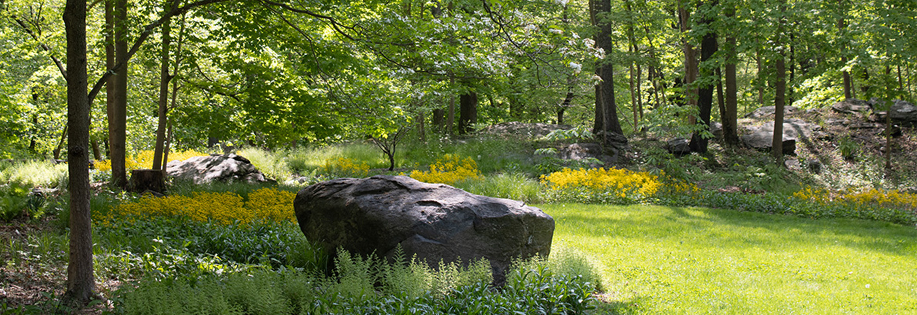 Designing Gardens that ‘Blur the Edges’ with Leslie Needham Design