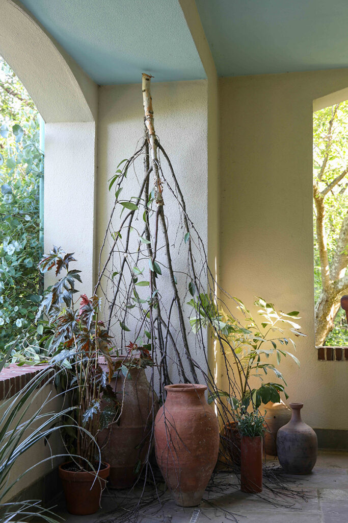 A tableau created by Tim Erdmann with an upside down birch branch, pots, and terra-cotta urns.