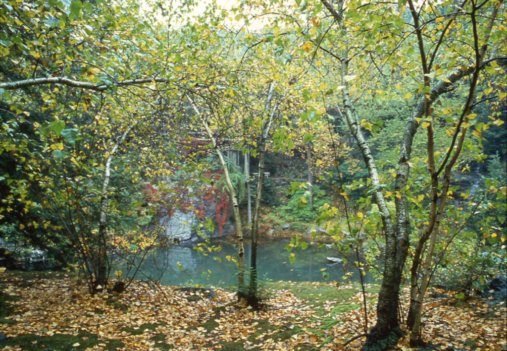 Manitoga in teh fall