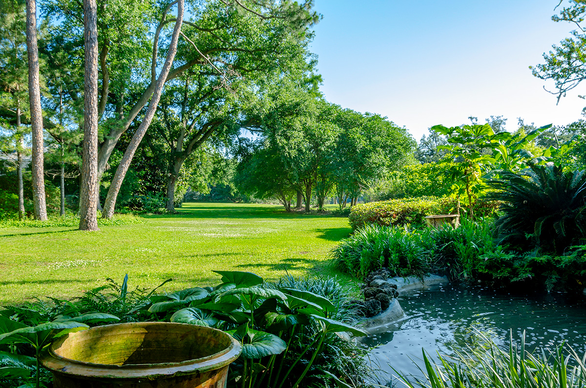 Overlook Pond on the East Lawn at Longue Vue in New Orleans features a verdant palette of Acanthus, Crinium and Farfugium, lawn, and a pond.