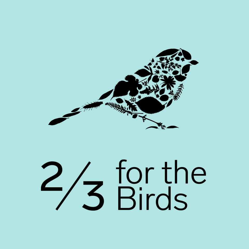 2/3 for the bird logo with a black silhouette of bird made from leaves on a blue background.