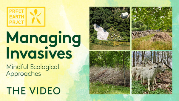 Managing Invasives: Mindful Ecological Approaches video