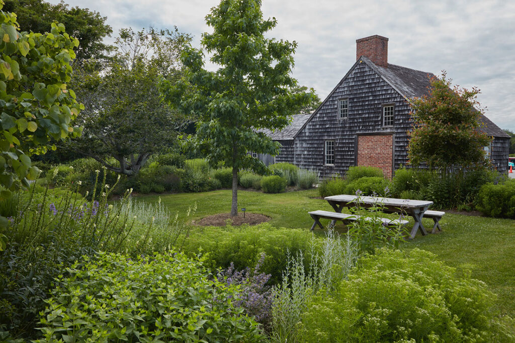 Volunteers planted the East Hampton pollinator garden including native trees.