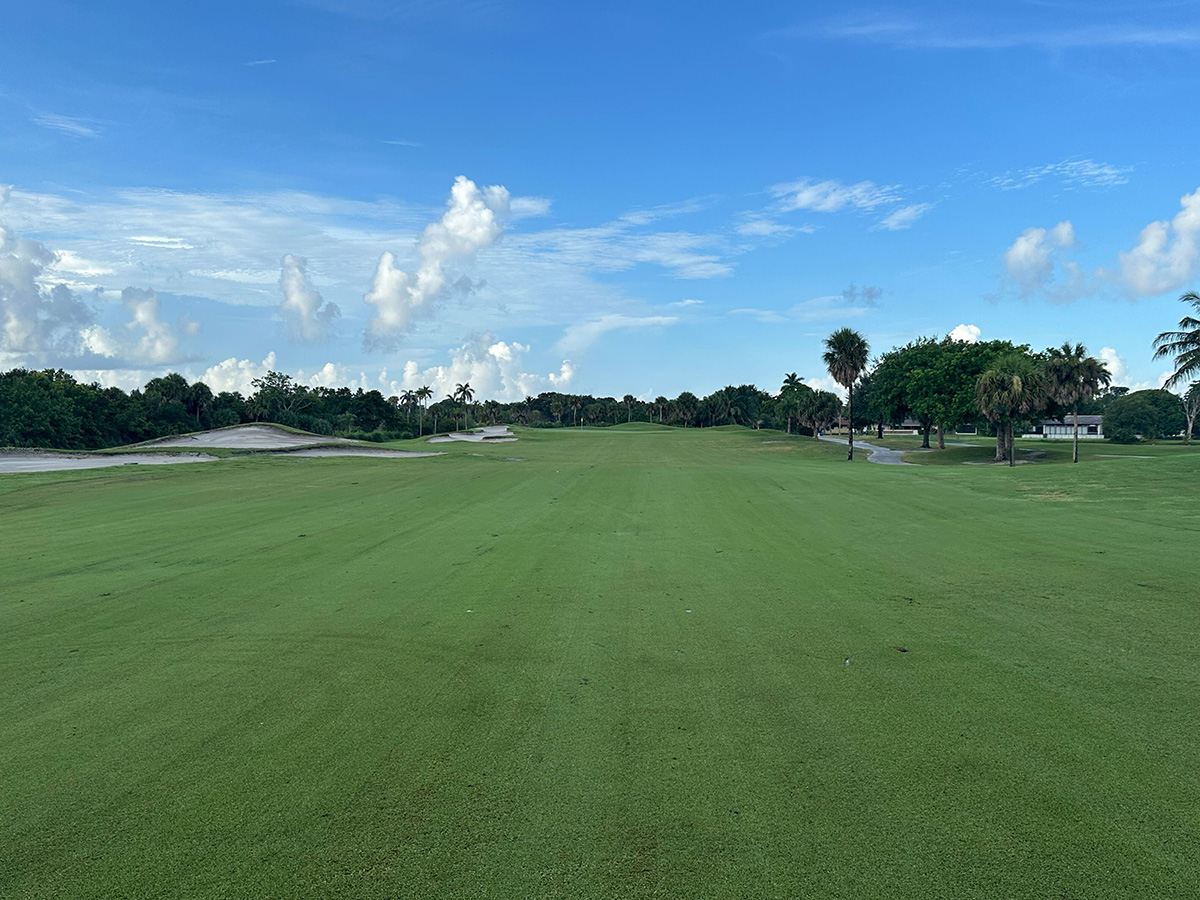 Learn more about the link between Golf, Pesticides, and Parkinson's