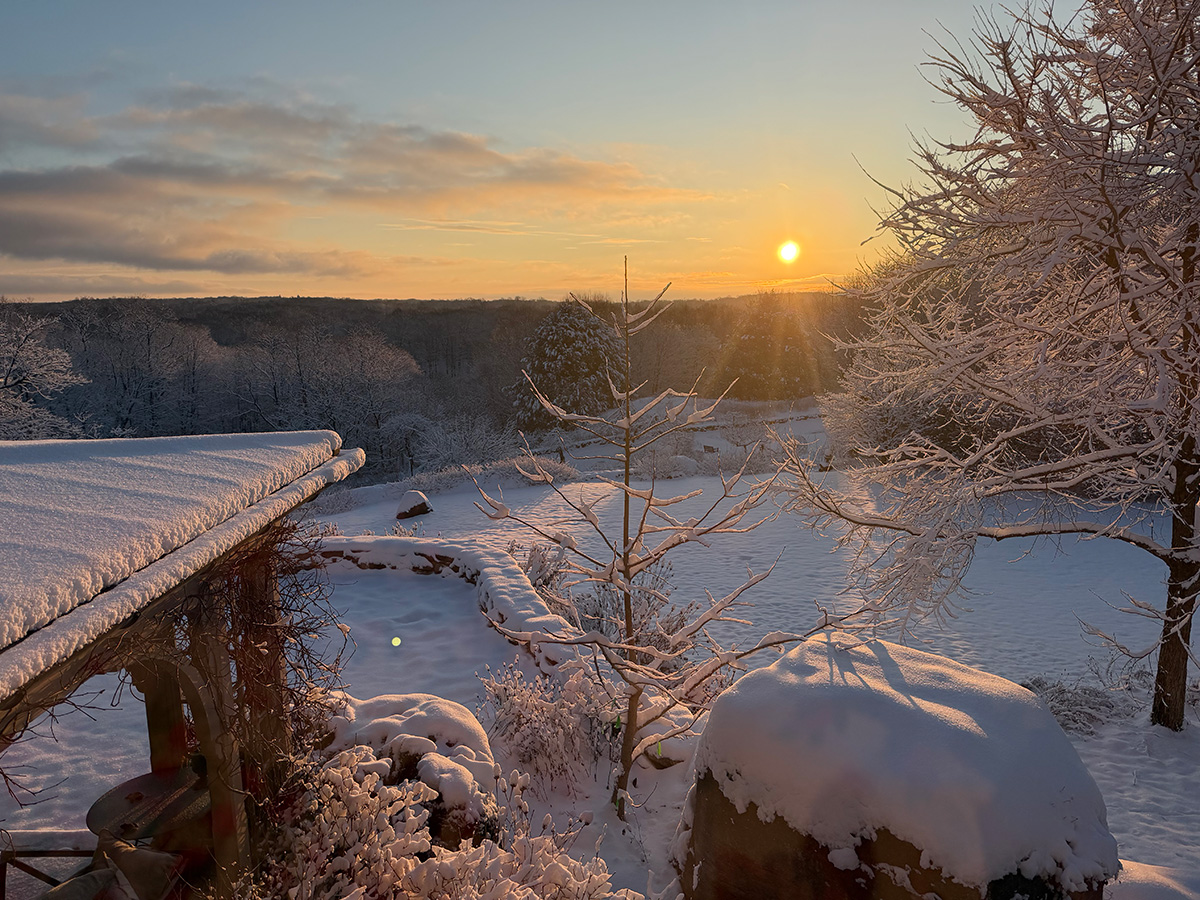 Ask the Experts: How to Tap Into Your ‘Mind of Winter’